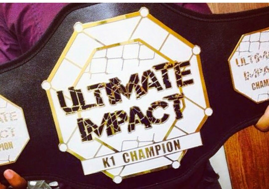 WHY SHOULD YOU GO TO ULTIMATE IMPACT 12 – HERE’S&nbsp;WHY