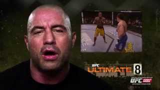 Fight Night Krakow: Ultimate 8 Headkick&nbsp;Knockouts