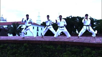 Why I Fight: Lyoto Machida